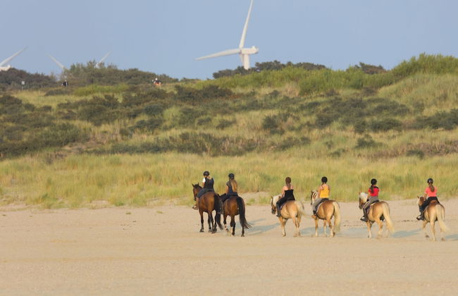 Modern Apartment 2 Bath Rooms, Close to Lake Veere - Foto 18