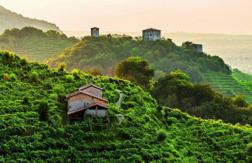 Magnolia Apartment - Heart of the Prosecco hills - Foto 46