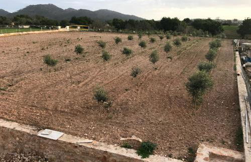 Ca Na Nina - Foto 80