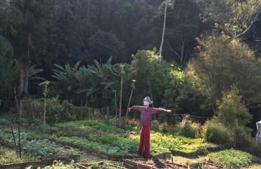 Casa Crudo, PRIVACIDADE NA MATA ATLÂNTICA, piscina, trilhas e descanso - Foto 73