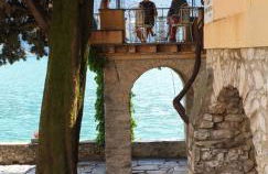 Lugano Lake, nido del cigno - Foto 2