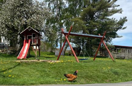 Ferienhof Heufelder Hof - Foto 5