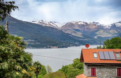 All Ulivo - Photo 41