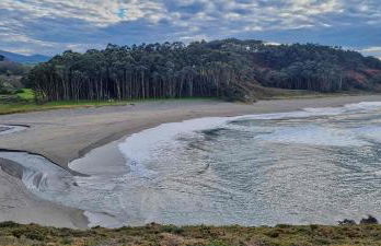 HAVANAAPARTAMENTOS - Foto 13