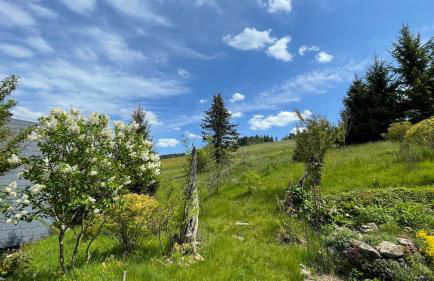 Flügels ReBi-Baude - Foto 13