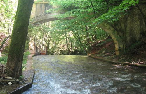 Parco Sogni d'Oro - Photo 67