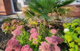 Ferienwohnung Hol Di! Zwischen Spo und Westerhever - Foto 23