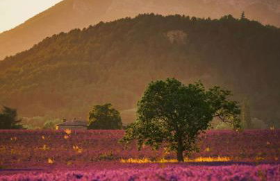LES APPARTEMENTS DU SAINT THIERS, la Provence dans un coin de la Drôme et l'esprit d'une maison d'hôtes à Saoû - Foto 74