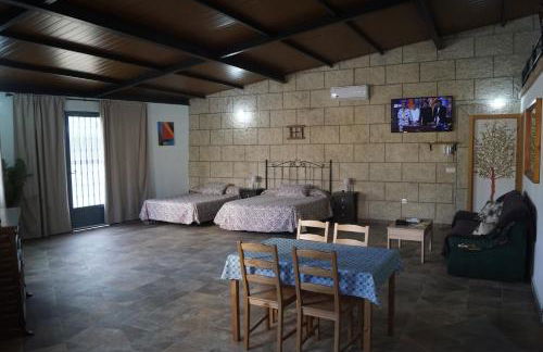 Apartamento-Estudio 10 de Monfragüe - Foto 10