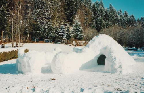 FW Winterer - Foto 6