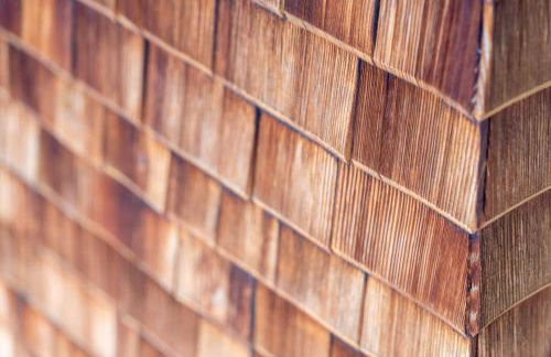 Haus Anita Sommer-Bergbahnticket-Unlimeted - Foto 12