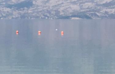 Miro Apartmani - Photo 59