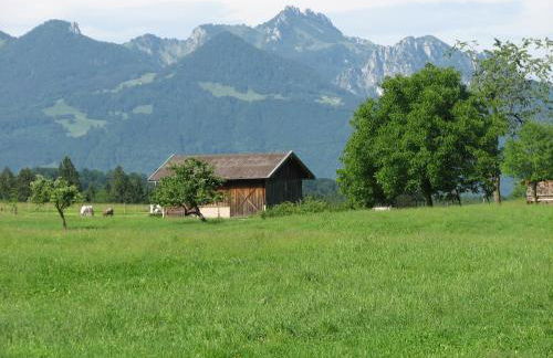 Beim Bicher - Photo 65