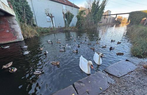 Canal Side Retreat - Foto 26