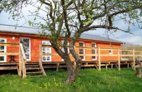 Holiday Home Alleenwiesen by Interhome - Photo 1