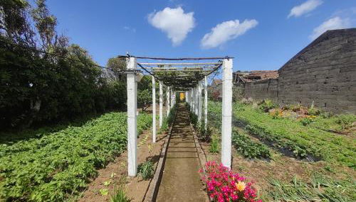 Casa Amarela de Santana - Photo 5