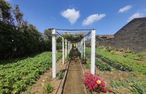 Casa Amarela de Santana - Photo 5