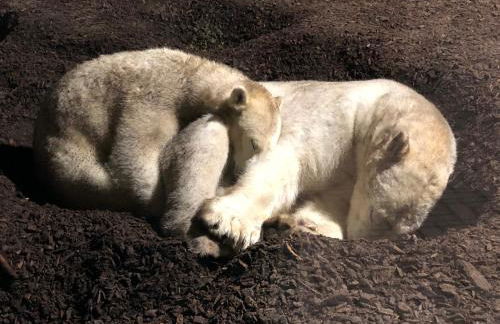 Ferienwohnungostseeblick - Foto 68