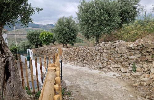 maison du olival - Foto 54