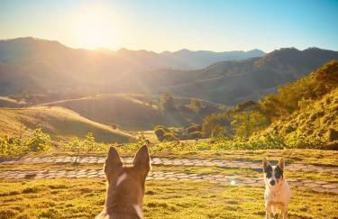 Cabana Girassol - Foto 3