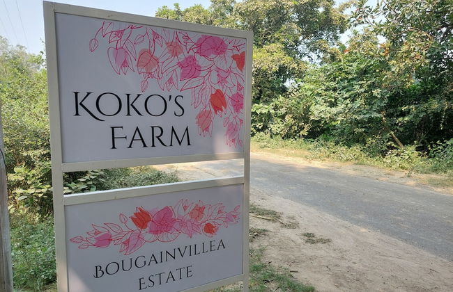 Koko's Farm - Foto 14