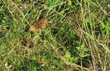 Marmot Apartment - Photo 38