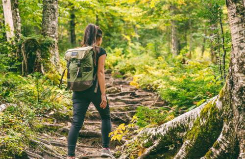 Waldklang Refugium Schwarzwald - eingezäunt - Außen-Sauna - Tischkicker - Billard - Foto 77