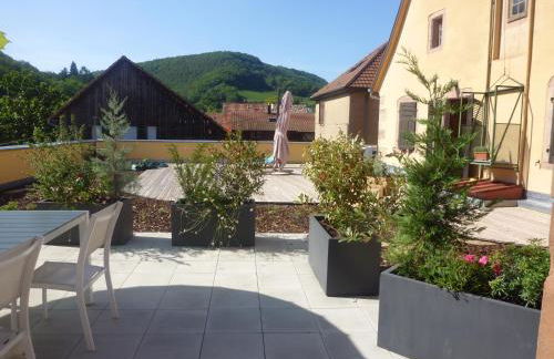 LA TÊTE AU SOLEIL - Foto 11