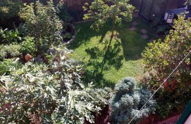 TheBackyard - Foto 28