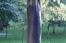 Ackermannia - Foto 31