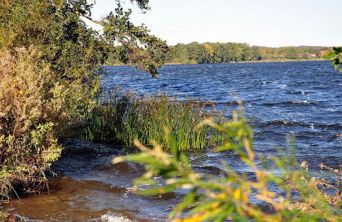 Room and kitchen im Katerberg - Foto 8