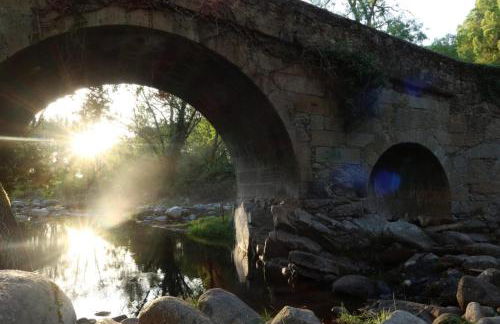 Casa Ypsilon Olive Oil - Photo 27