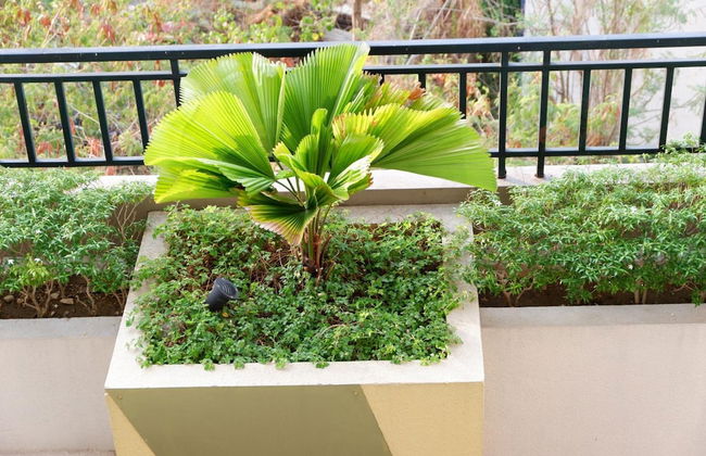 Shine Residences by Ridged - Foto 46