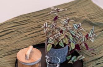 SMERALDO ACQUAMARINA Waterfront - Foto 9