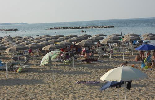 Pepita Flats - Foto 39