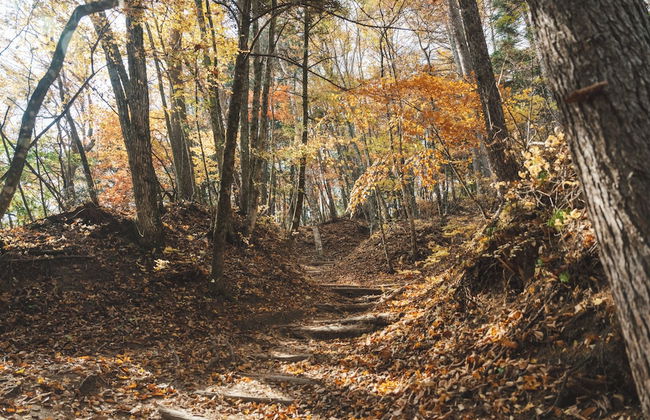 Kobuchizawa Art&Wellness IKIGAI - VILLAS - Foto 20