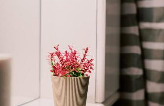 LaPlayaSuites 1st - Foto 27