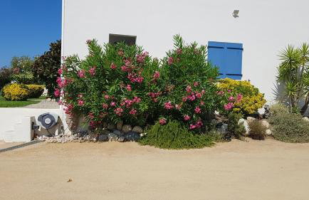 Residence U MELU GRAND T3 JAUNE à l'étage - Foto 36