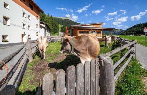 Mühlanderhof Apt Klopairspitze - Foto 26