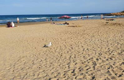 Casa Mario, La Zenia Boulevard area,fantastic 2 bedrooms, 2 bathrooms house with communal swimming pool and barbecue - Photo 35