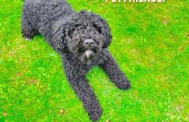 La Casita de Suances 1 - Foto 24