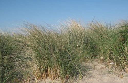 Ferienwohnung Fokuhl - Foto 16