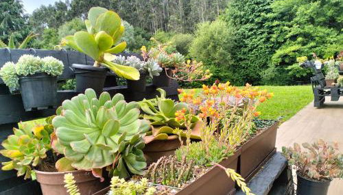 agroturismo Araize - Foto 2, Garden, Garden view