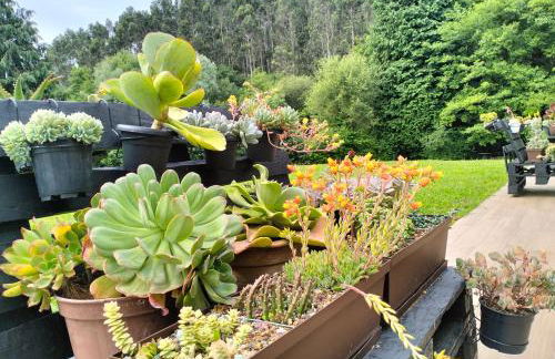 agroturismo Araize - Foto 2