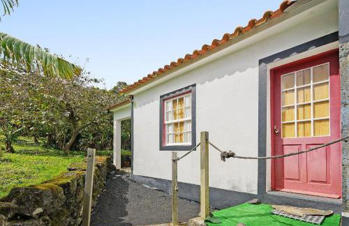 Adega Peróla - Foto 19