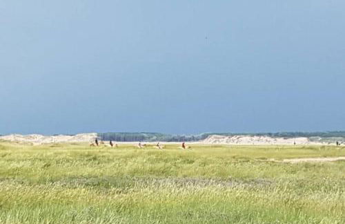La Cabane des Dunes à Fort-Mahon Plage - Foto 15