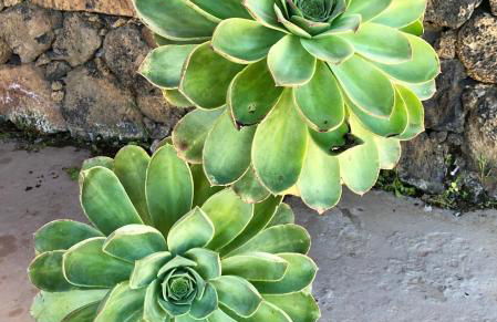 Casa La Fuente - Foto 21