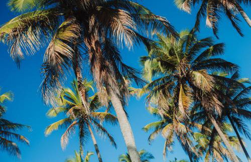 Casa Salga Patacho F003 - Rota Ecológica de São Miguel dos Milagres - Foto 8