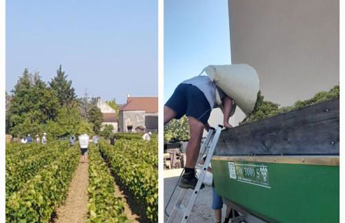 Appartement Indépendant Chagny - Foto 47