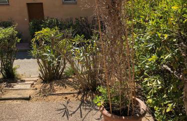 PORTICCIO, AGOSTA PLAGE vue mer pour 6 p, 2 ch, PROMO 7 nuits - Foto 8